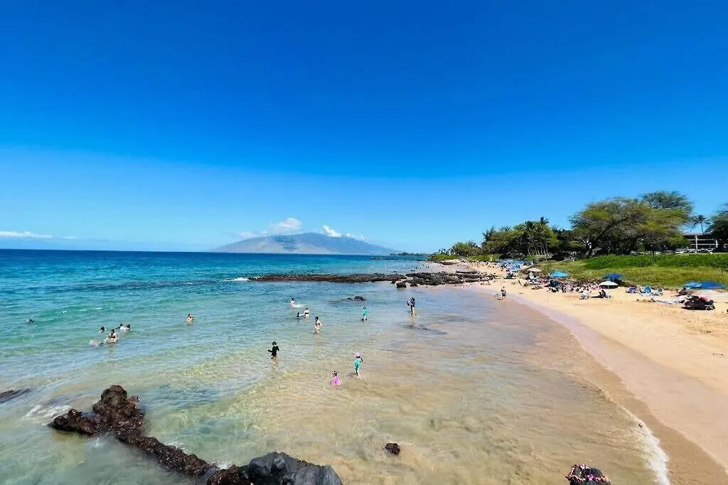 New Tropical Paradise 1Bed 2Bath Oasis At The Pool Wailea  Apartment Wailea (Maui)