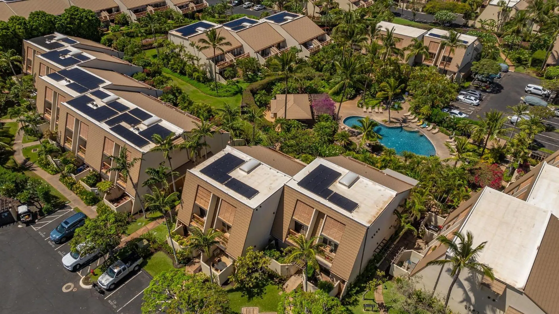 New Tropical Paradise 1Bed 2Bath Oasis At The Pool Wailea  Apartment