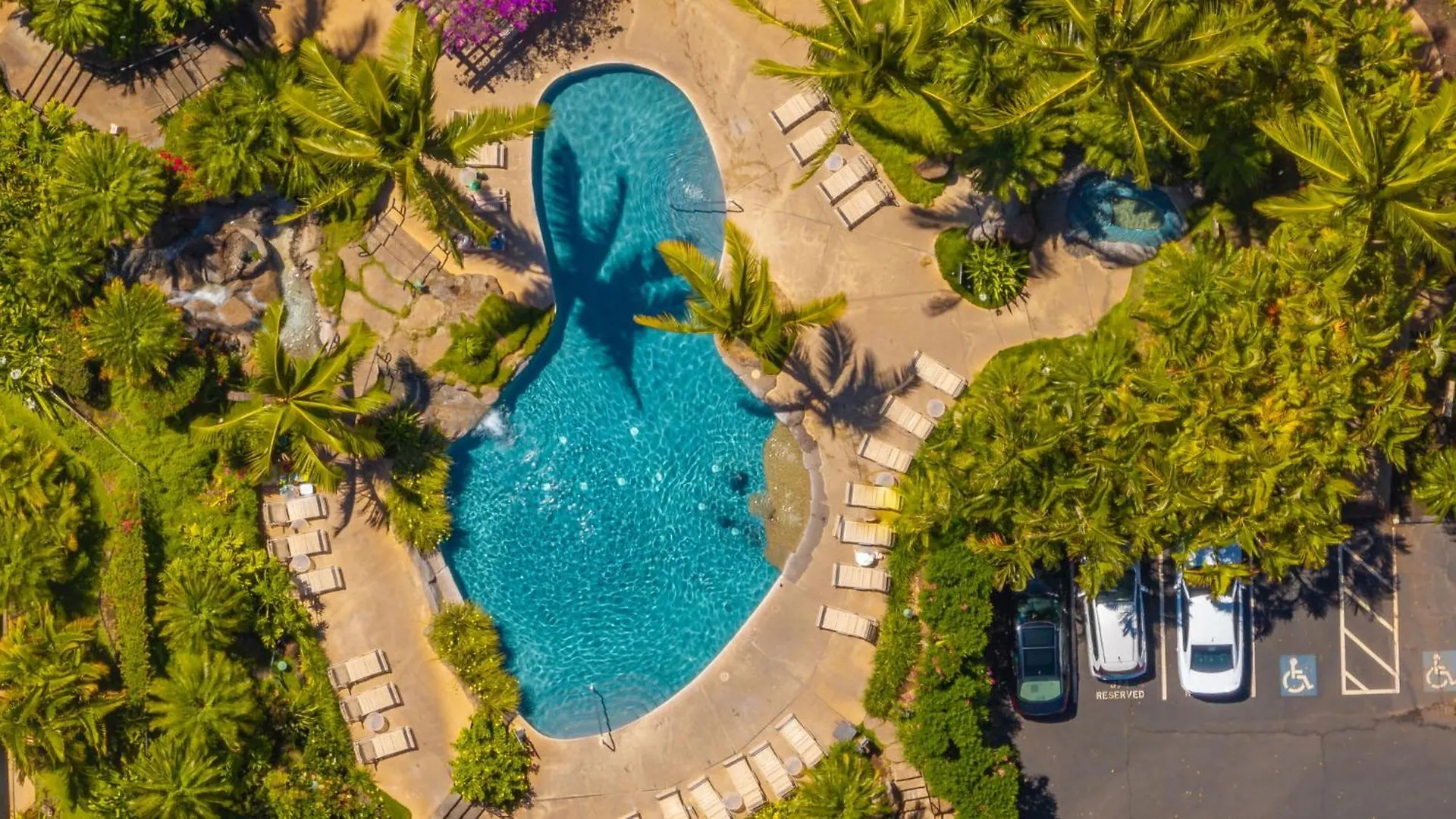 New Tropical Paradise 1Bed 2Bath Oasis At The Pool Wailea