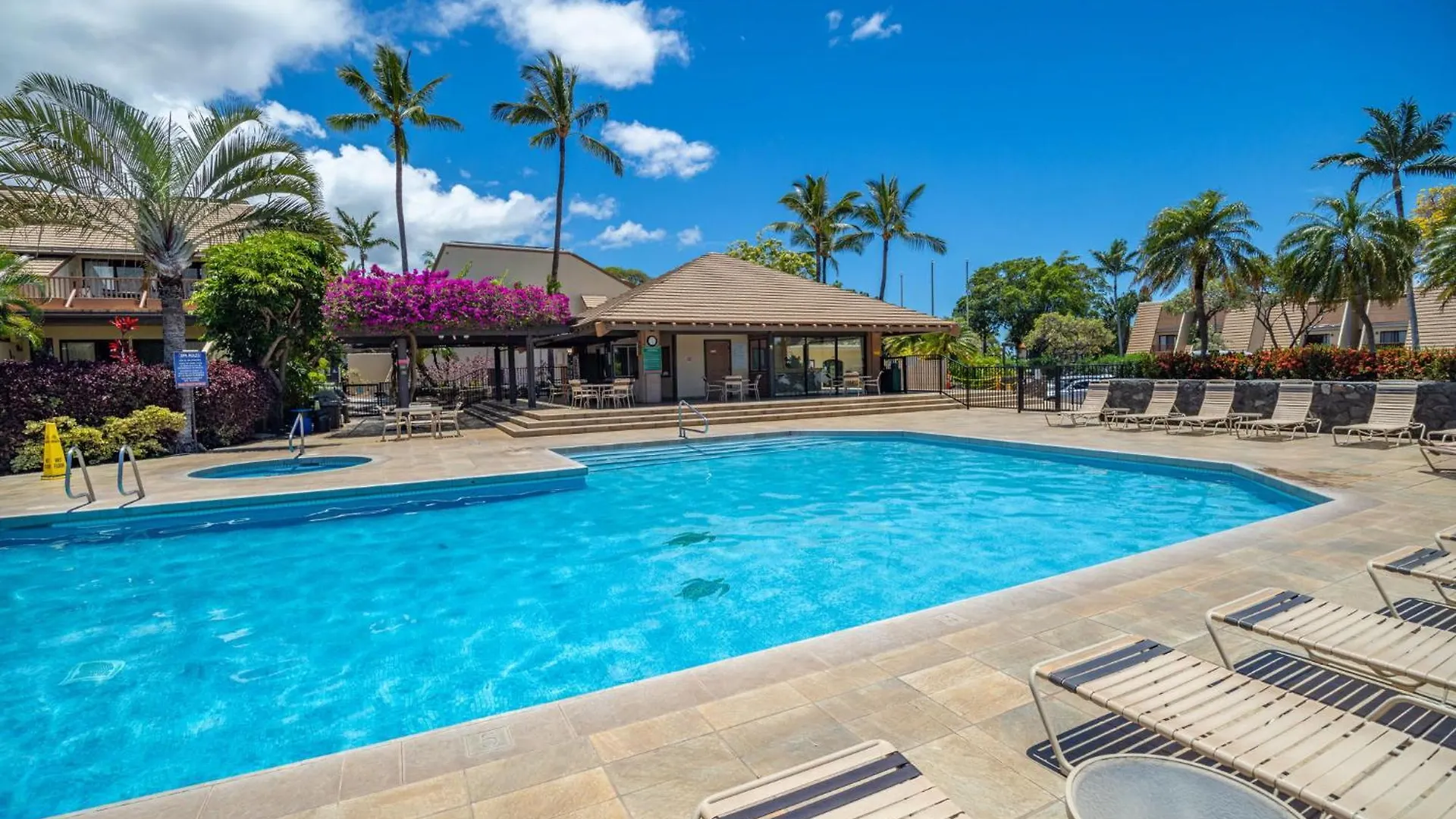 New Tropical Paradise 1Bed 2Bath Oasis At The Pool Wailea