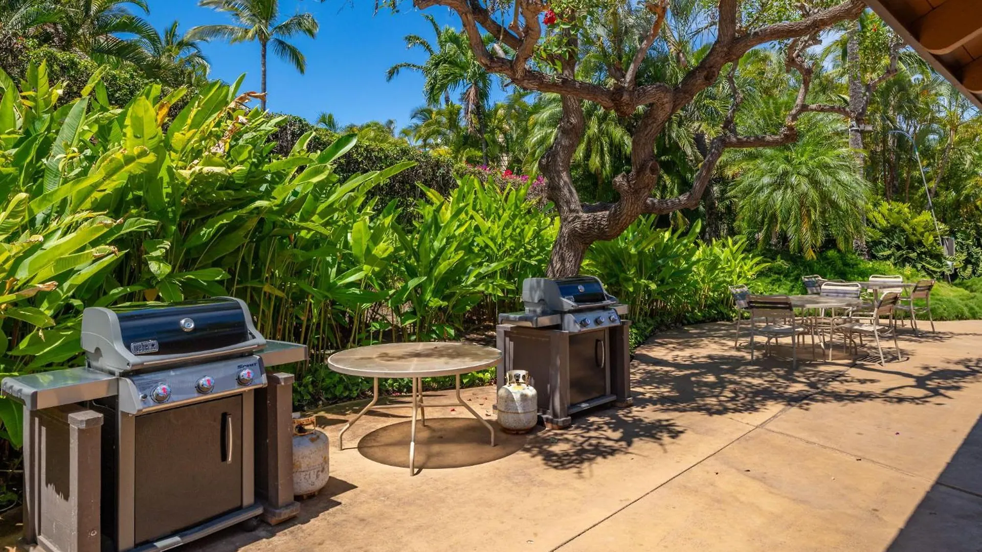 New Tropical Paradise 1Bed 2Bath Oasis At The Pool Wailea  United States