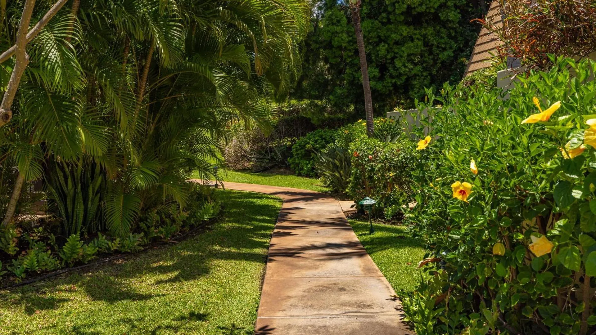 Apartment New Tropical Paradise 1Bed 2Bath Oasis At The Pool Wailea  United States
