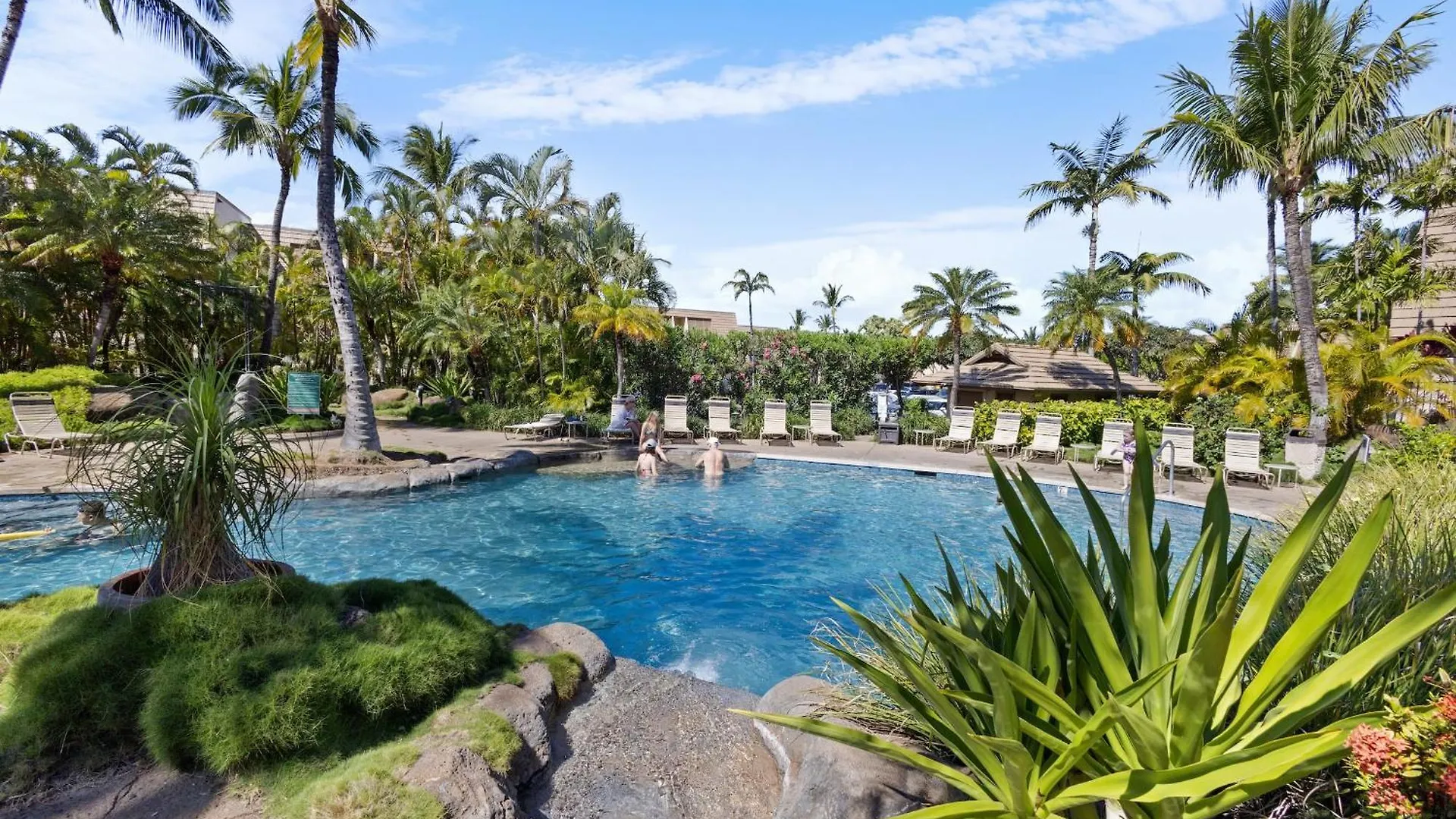 New Tropical Paradise 1Bed 2Bath Oasis At The Pool Wailea  United States