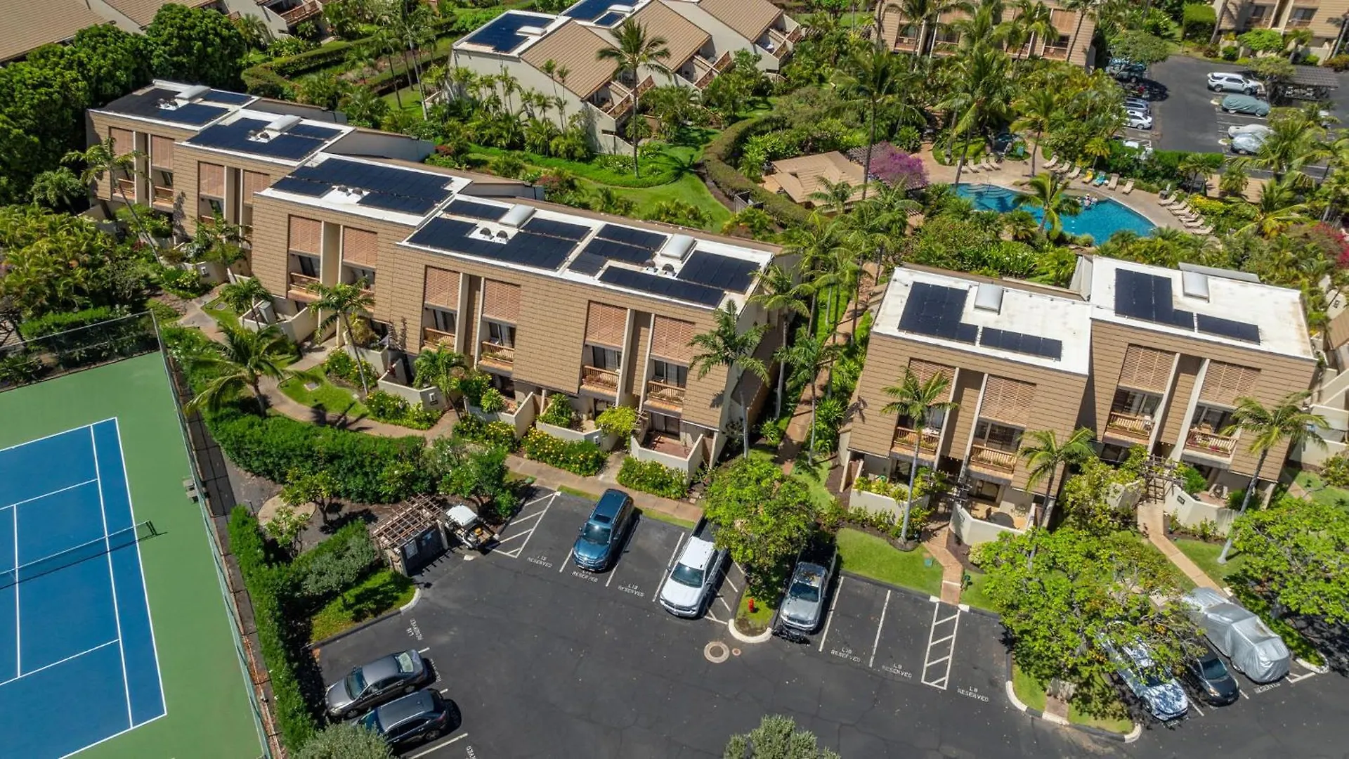 New Tropical Paradise 1Bed 2Bath Oasis At The Pool Wailea  Apartment
