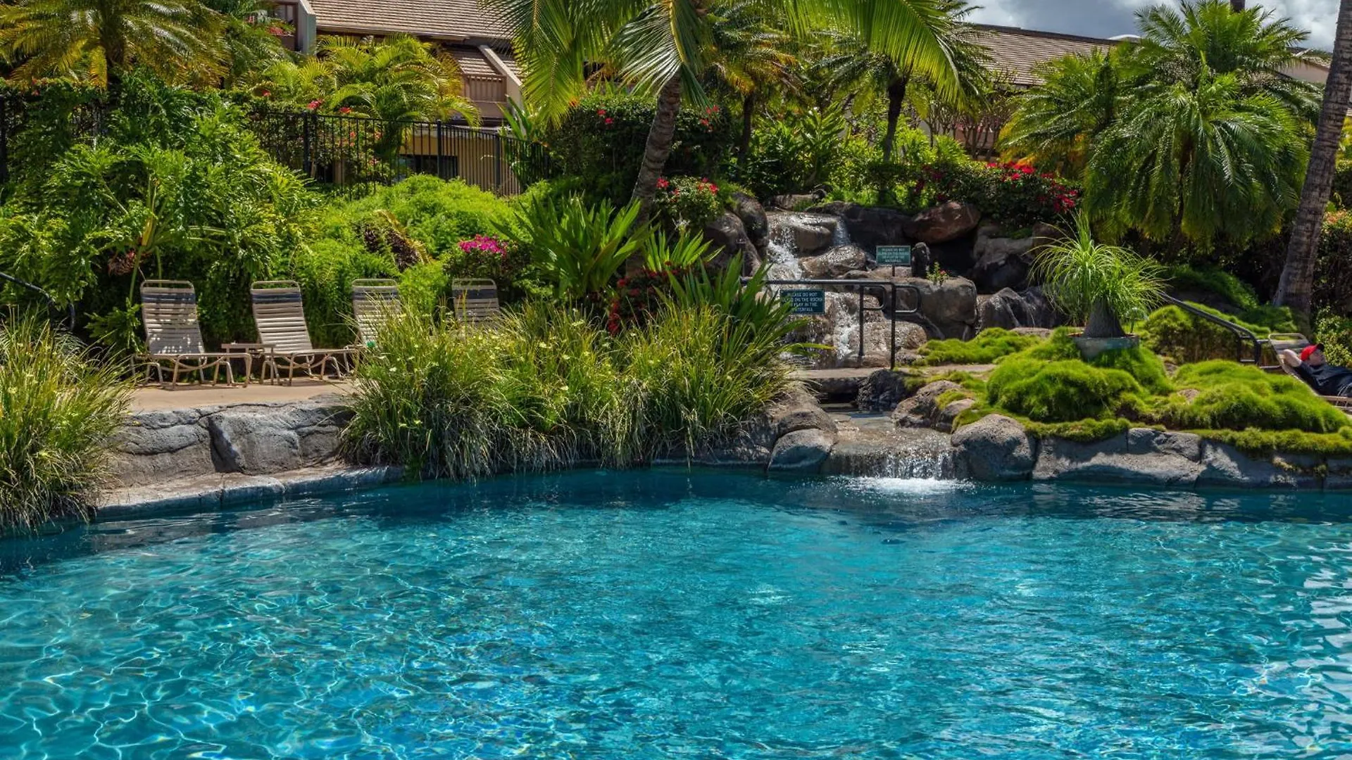 New Tropical Paradise 1Bed 2Bath Oasis At The Pool Wailea  0*, Wailea (Maui) United States