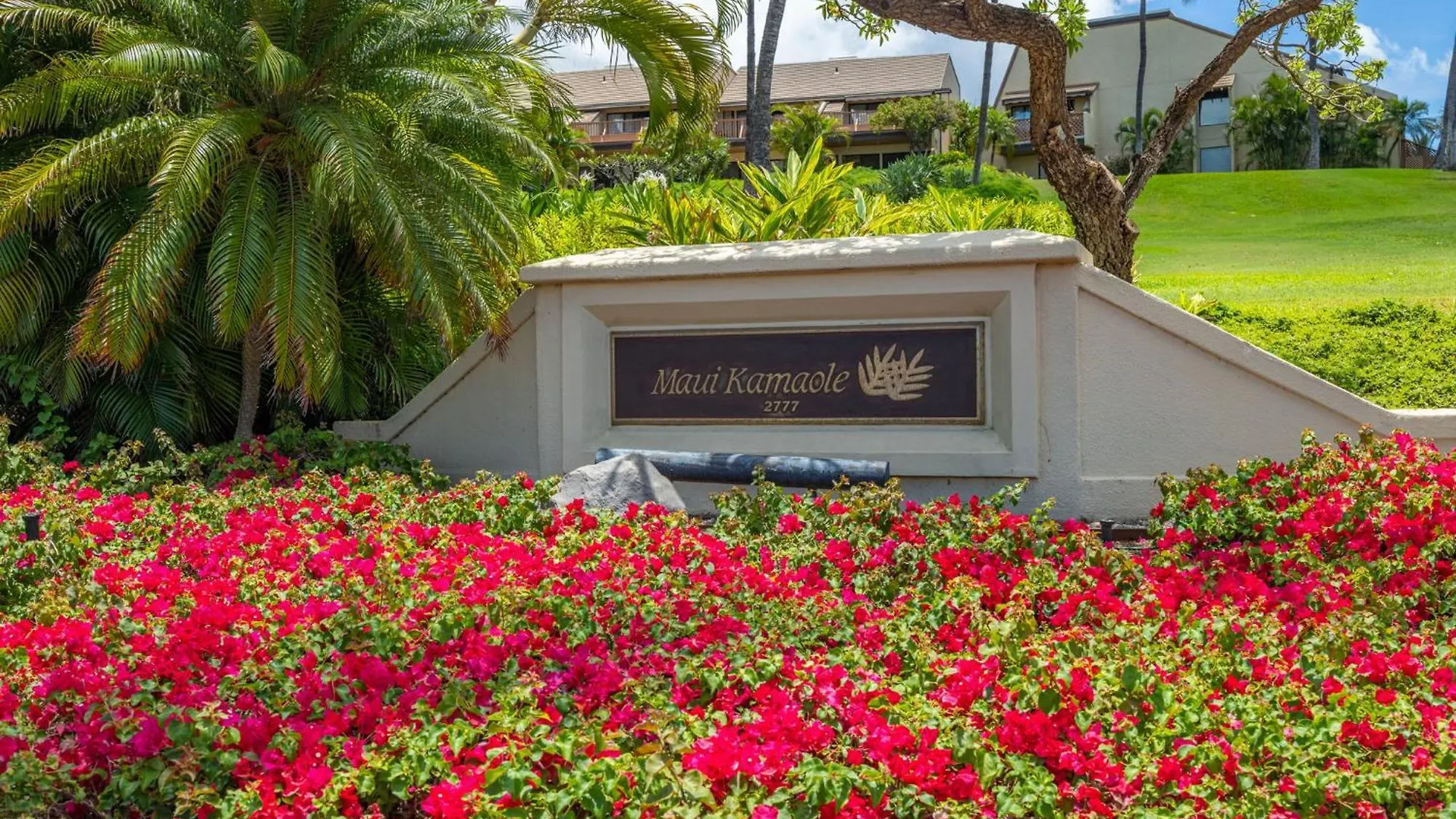 New Tropical Paradise 1Bed 2Bath Oasis At The Pool Wailea  United States