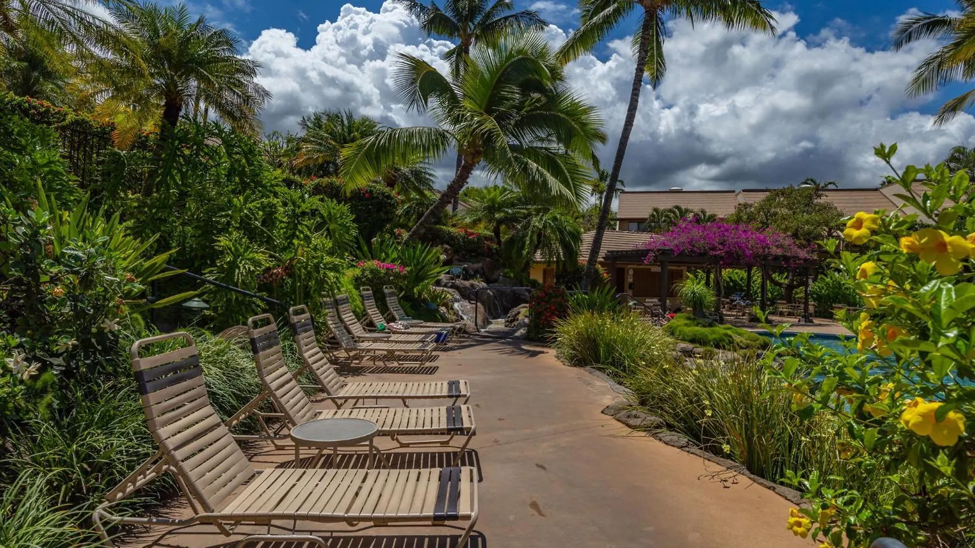 Apartment New Tropical Paradise 1Bed 2Bath Oasis At The Pool Wailea  United States